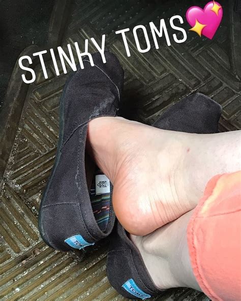 Pin On Toms Shoes