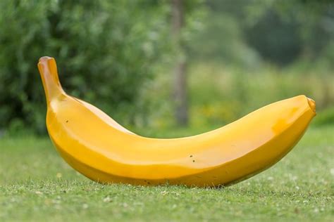 Giant Banana Of 120 Cm High Quality Plastic Catawiki