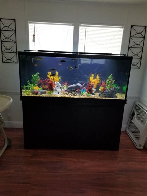 120 Gallon Marineland Aquarium With Stand For Sale In Fort Lauderdale