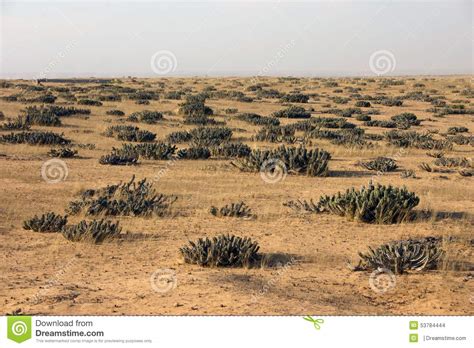 Often one person gives another authority to act, as an employer to an employee, a principal to an agent, a corporation to its officers, or governmental empowerment to perform certain functions. Angola landscapes stock photo. Image of tourism, flora ...