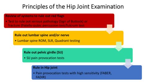 Hip Examination Handout Flashcards Quizlet