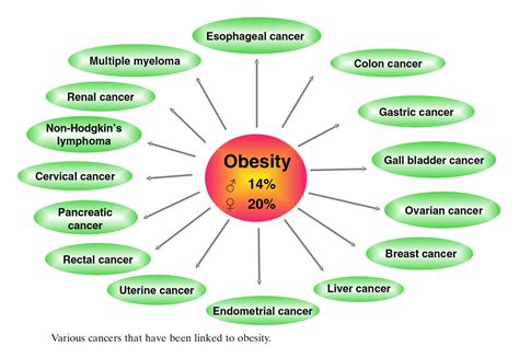 Lifestyle Choices And Cancer
