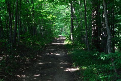 Free Images Landscape Tree Nature Path Wilderness Hiking Trail