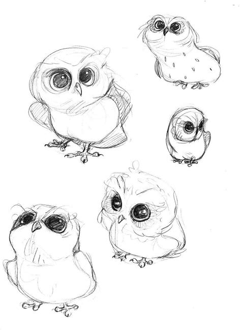 Useful drawing references and sketches for beginner artists. Owl Drawing Reference and Sketches for Artists