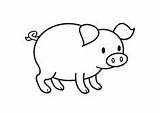 Pig Cute Coloring Pages Clip Drawing Cartoon sketch template