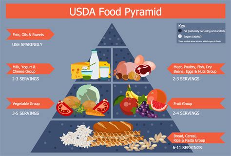 Foods are broken down into categories, much like with the traditional food pyramid. United States Department of Agriculture (USDA) Food ...