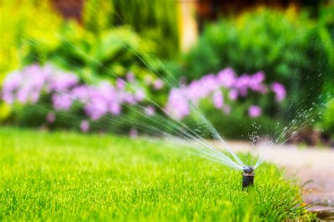 Water is key in summer. How Often Do You Water Your Lawn in the Summer in Michigan?