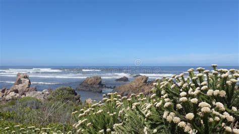 Hermanus South Africa Walk The Cliff Path To Grotto Beach And Enjoy