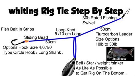 Whiting Rig Diagram Make Bottom Fishing Rigs Easy Setup Video Tutorial