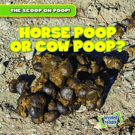 Scoop On Poop Horse Poop Or Cow Poop Paperback
