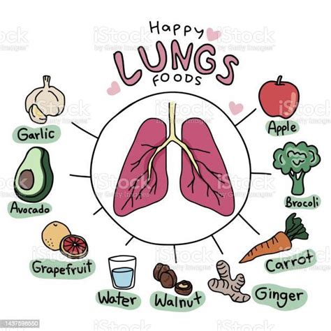 Happy Lungs Foods Cartoon Vector Infographic Illustration Stock