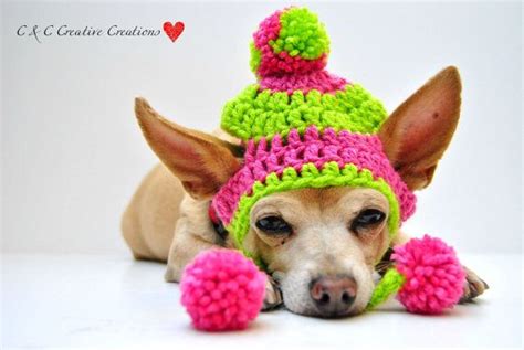 Pink And Green Two Tone Dog Hat Pet Hat Cat Hat Dog Beanie