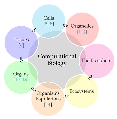 Biology Free Full Text Computational Biology A New Frontier In