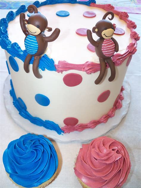 Twin Cake Twin Birthday Cakes Cake Twins Cake