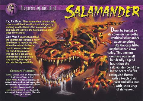 Salamander Weird N Wild Creatures Wiki Fandom
