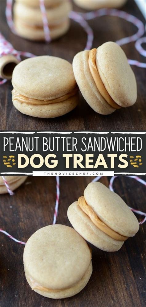Peanut Butter Sandwiched Dog Treats Dog Cookie Recipes Easy Dog Treat