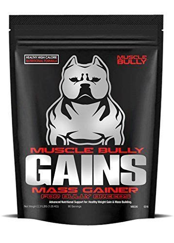 Muscle Bully Gains For Bullies In 2020 Weight Gainer Bully Breeds Gain Mass