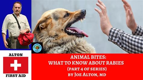 Video Animal Bites Pt 4 Rabies Doom And Bloom Tm