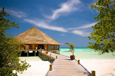 hd wallpaper sunshine seaside resort exotic bungalow ocean blue beach bridge