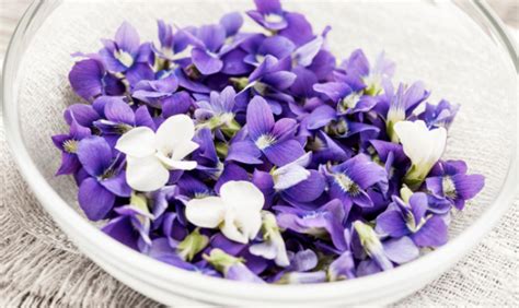I suoi fiori a grappolo bianchi, lilla, viola oppure blu. 10 fiori da mangiare - www.stile.it