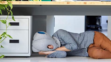 When You Want To Bury Your Head In The Sand You Need An Ostrich Pillow