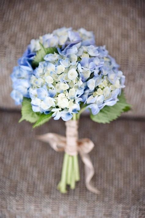 20 Classic Hydrangea Wedding Bouquets Blue Hydrangea Bouquet Flower