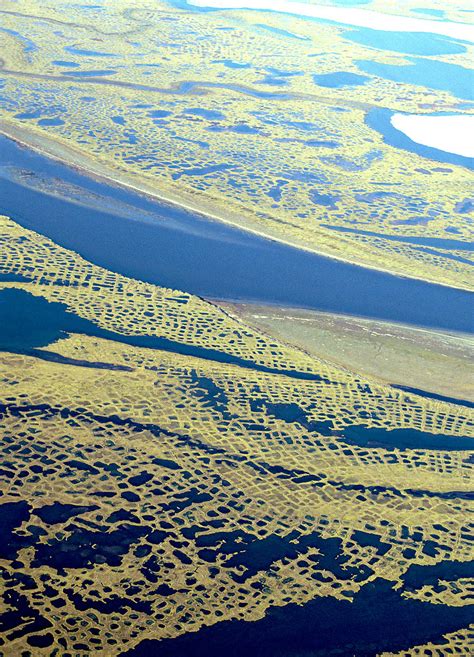 Polygone Tundra Lena Delta Sakha Republic Siberia Russ Flickr