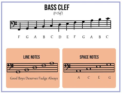 Treble Clef And Bass Clef Notes Digital Download High Quality Pdf Etsy Uk