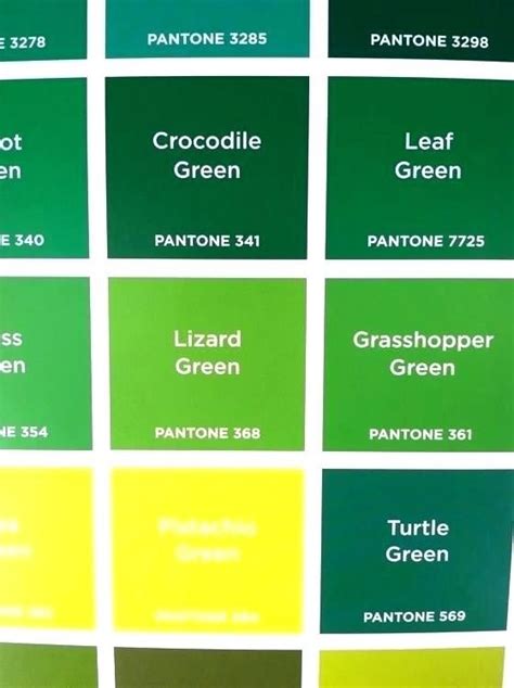 Paint Color Shades Of Green Shades Of Green Names Light Green Paint