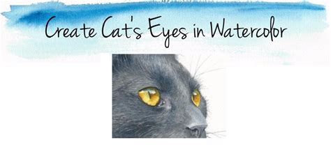 How To Paint A Cats Eye In Watercolor Watercolors With Rebecca