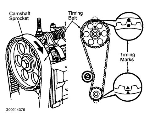 1985 Toyota Corolla Serpentine Belt Routing And Timing Belt Diagrams