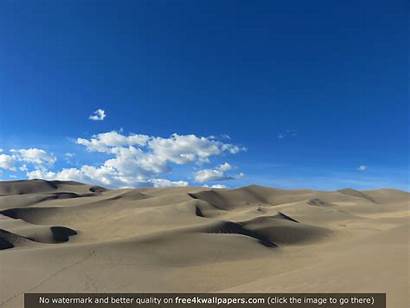Dunes Sand Bear Sleeping Colorado 4k Wallpapers