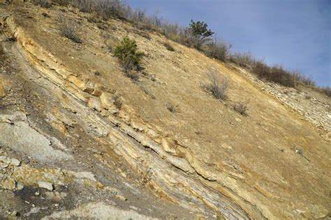 Bedding In Sedimentary Rock Geology Pics