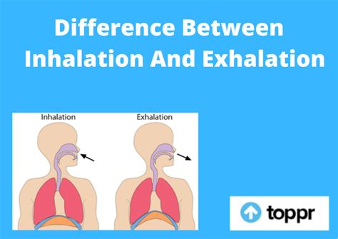 Describe The Process Of Inhalation And Exhalation Sawyer Has Harris