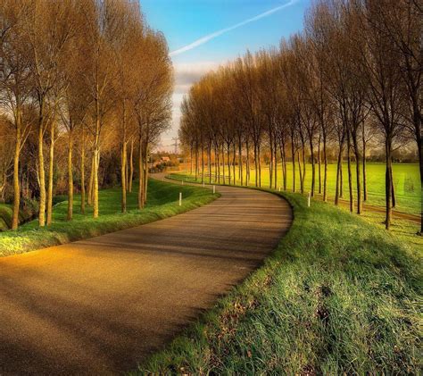 Nature Landscape Road Trees Wallpapers Hd Desktop And