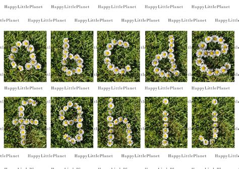 Nature Alphabet Printable Lower Case Eyfs Resource Early Etsy