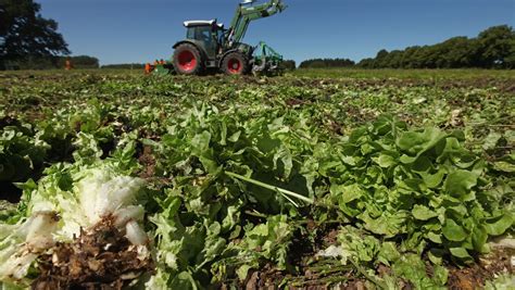Plowed Under German Farmers Hit Hard By E Coli Outbreak Der Spiegel