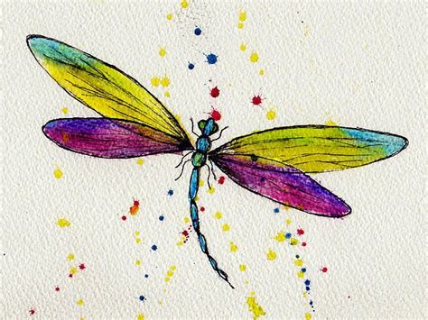 Dragonfly By Peter Stevenson Dragonfly Painting Dragonfly Art