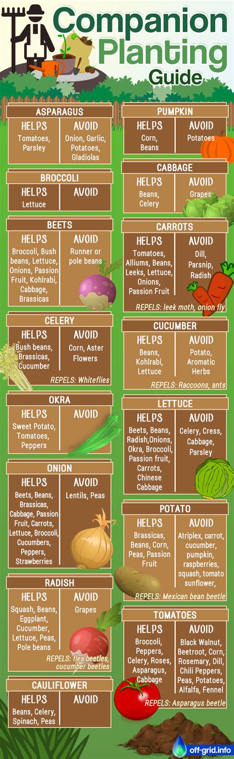 Check out our free guide to some of the most common companions. Companion Planting Guide - Pin, Share, Print Out - Off-Grid