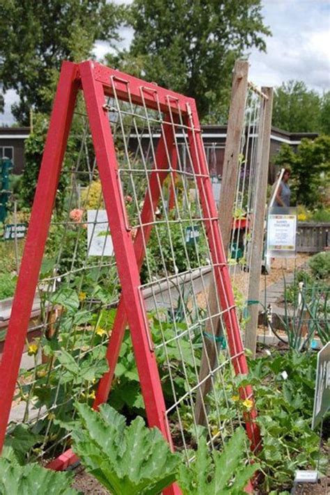 24 Easy DIY Garden Trellis Ideas Plant Structures A Piece Of Rainbow