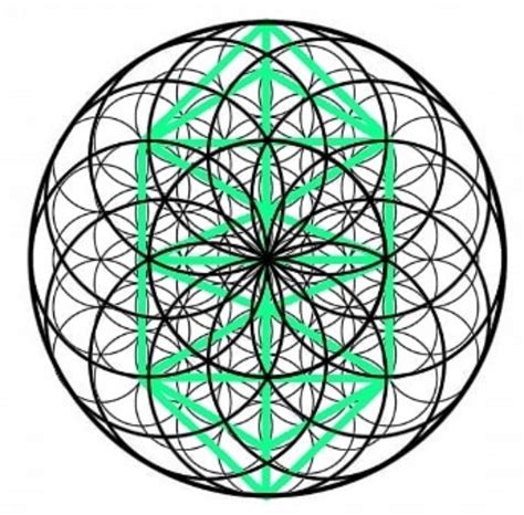 Flower Of Life Krystal Sacred Geometry Tree Of Life Grid
