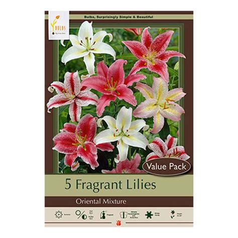 Lilium Oriental Fragrant Lily Mix Pkg Of 5 Earl May