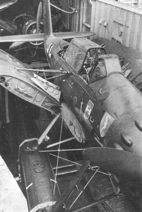 Arado Ar 196 Showing Its Folded Wing Люфтваффе Военный самолет Авиация