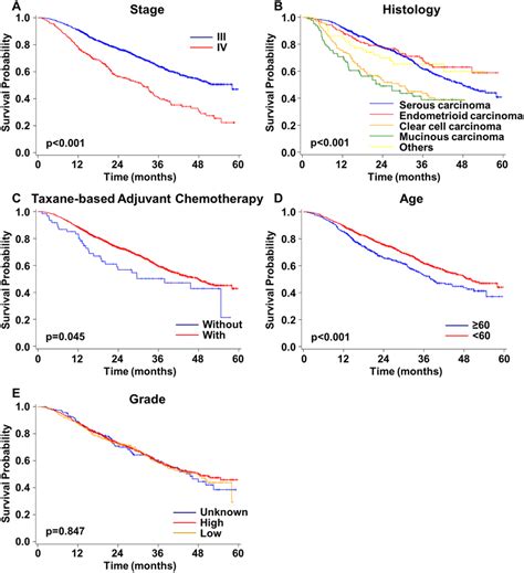 Overall Survival Curves For Patients With Advanced Stage Epithelial