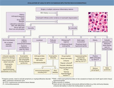 Eosinophil Associated Dermatoses Plastic Surgery Key