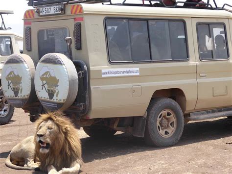 Kili Slope Tours And Safaris Ltd Arusha Safarigo