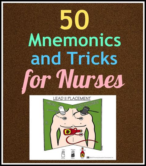 16 Best Nclex 200 The Meds You Should Know Nursing