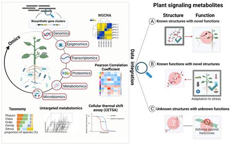 Metabolites Free Full Text Multi Omics Based Discovery Of Plant