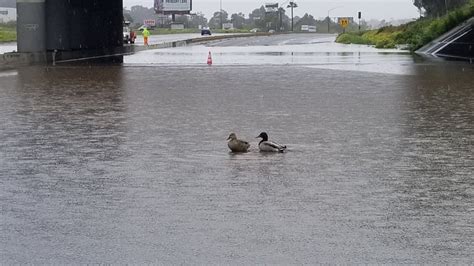Flooding Causes Lane Closures On Sr 78 Fox 5 San Diego