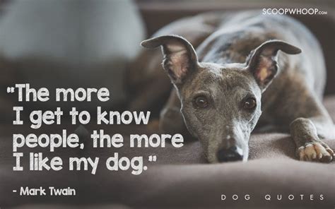 25 Beautiful Quotes That Explain Exactly Why Dogs Are Man